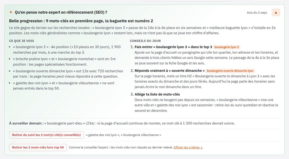 Avis de l’expert SEO automatique de mon-seo.info : constats, conseils du jour et bouton pour retirer les mots-clés inutiles